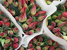 КамАЗ с тюльпанами угнали в подмосковном Домодедове