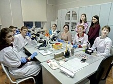 На соревнованиях по ветеринарии WorldSkills в НАО будут обследовать северных оленей