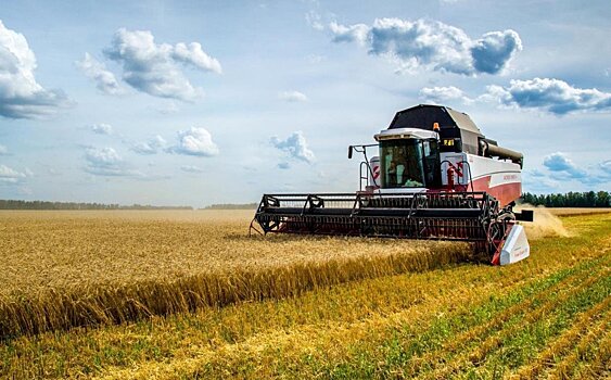 Первый урожай зерновых в Удмуртии и ликвидация главаря Аль-Каиды*: новости к этому часу