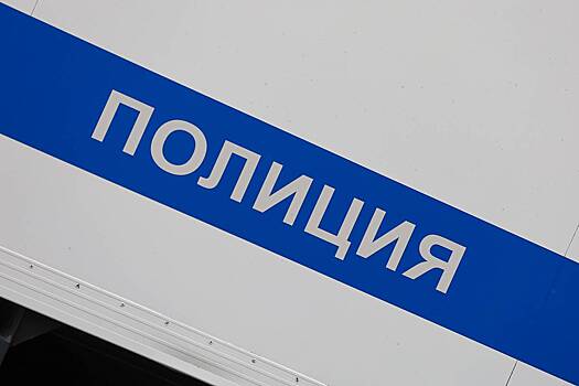 В МВД раскрыли предварительную причину гибели подростка в Химках