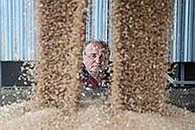 Аграриями Самарской области намолочено 2,6 млн тонн зерна