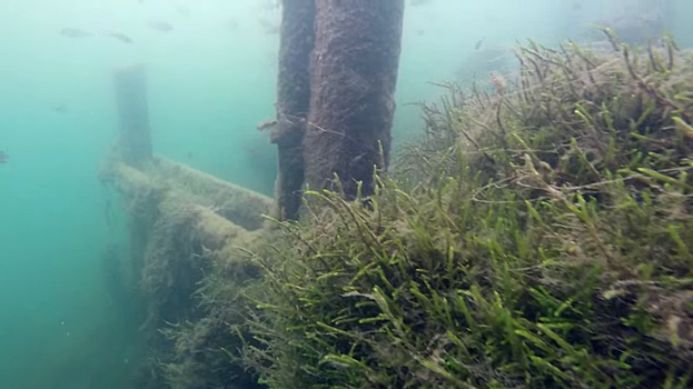 Деревянный мост и пещеры нашли дайверы на дне нижегородского озера