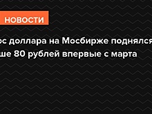 Курс доллара на Мосбирже поднялся выше 80 рублей впервые с марта