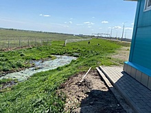 От московской компании потребовали 1,8 млн за загрязнение почвы в Воронежской области