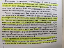 Минсельхоз опроверг данные о 100 пригодных для форелеводства водоемов в Карелии