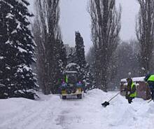В Курске дворы расчищают от снега 574 дворника