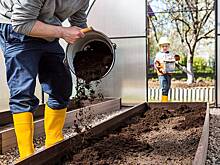 Проще, чем кажется: что надо сделать на даче до наступления зимы