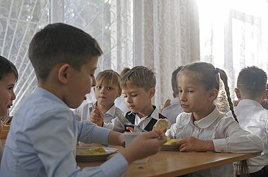 В России заработает горячая линия по вопросам питания в школах