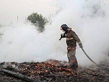 В лесах Дальнего Востока полыхают десять пожаров