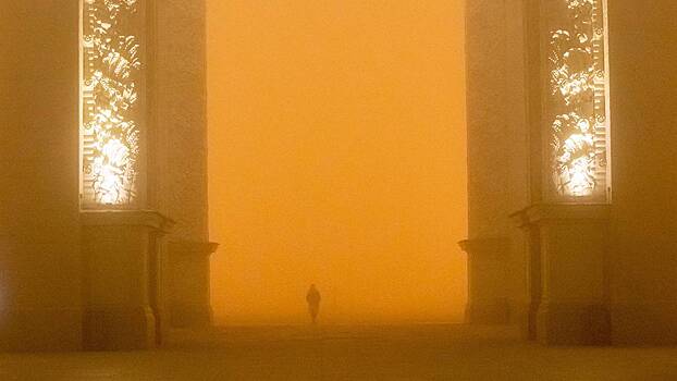 «Желтый» уровень опасности объявлен в Москве из-за тумана в ночь на субботу