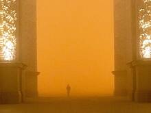 «Желтый» уровень опасности объявлен в Москве из-за тумана в ночь на субботу