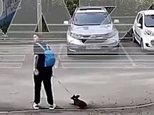 Россиянка избила собаку на глазах у ребенка из-за пролитого кофе и попала на видео