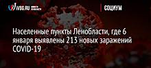 Населенные пункты Ленобласти, где 6 января выявлены 213 новых заражений COVID-19