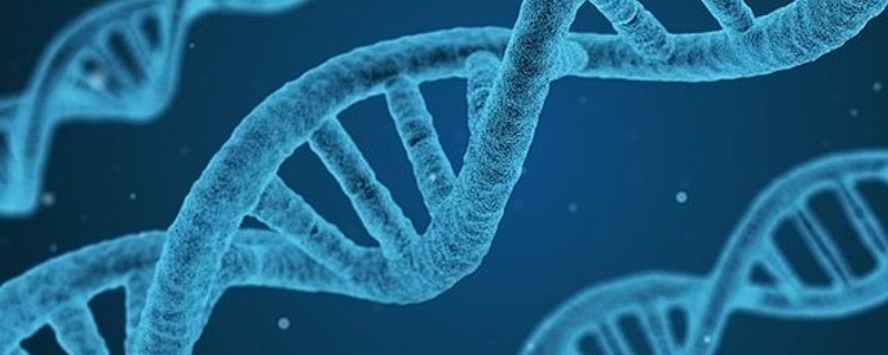 Генетики призвали к мораторию на создание ГМ-детей