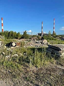 Прокуратура назвала виновных в организации свалки стройотходов курганского «Синтеза»