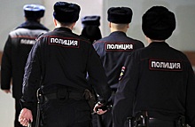 В Петербурге и Владивостоке прошли обыски у местных активистов