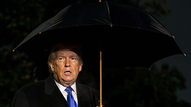 Оценены шансы на устроенный демократами импичмент Трампу в этом году