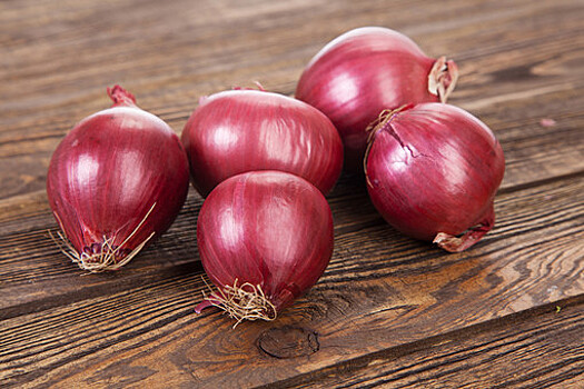 Metro: нарезка лука острым ножом препятствует появлению слез