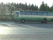 Госавтоинспекция остановила бакинский автобус с водителем без прав