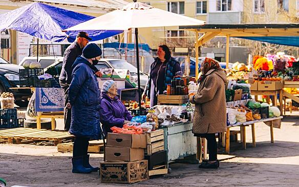 Россельхознадзор выявил продажу 50 незаконных сортов семян в Рязанской области