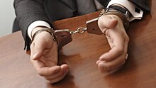 Суд в Петербурге арестовал первых фигурантов «дела сайентологов»