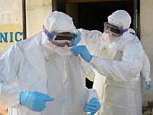 Об инфекциях в тропических странах расскажут в пресс-центре «АиФ-Иркутск