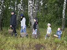 Глава Рослесхоза Иван Советников рассказал о проблемах лесов и налоге для сборщиков грибов и ягод