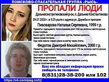 В Дальнем Константинове пропала молодая пара