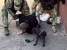 ФСБ задержала воронежца, переводившего деньги на счета боевиков ГУР Украины