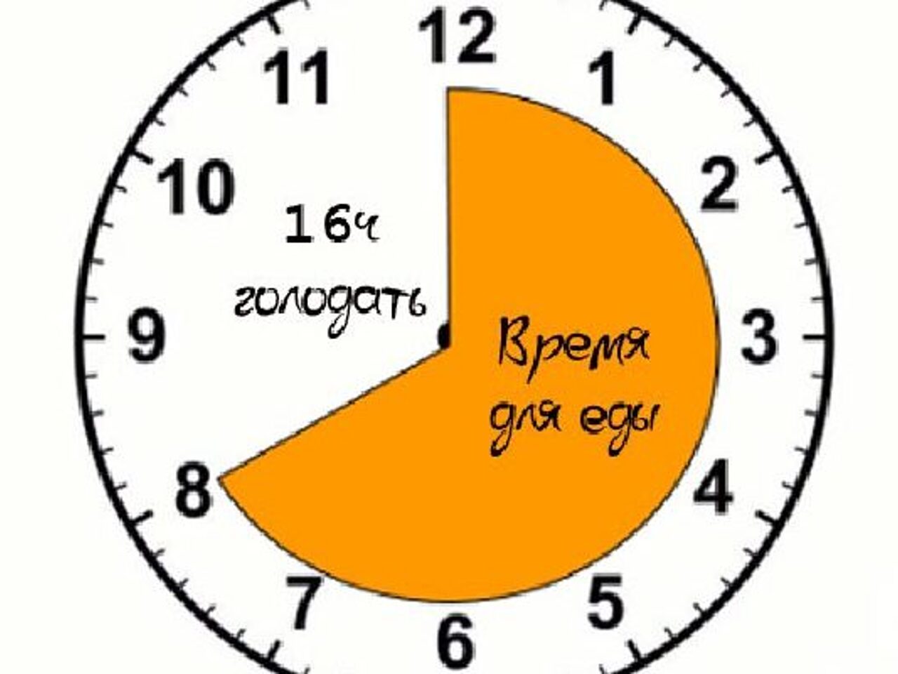 16 8 голодание схема питания Пин на доске HEALTH! HEALTH! HEALTH!