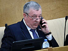 Депутата Госдумы обыскали в Шереметьево