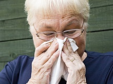 Эксперт Филева: в декабре появляются триггеры, которые приводят к возникновению аллергии
