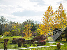 Какой будет погода в выходные: точный прогноз на 4 и 5 ноября