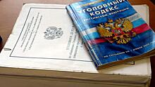 Неисправимый: вологжанин, неоднократно попадавшийся на кражах, наконец получит по заслугам