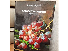 Писатель Виктор Борисов представит свою новую книгу «Апеллесова черта» в Вологде