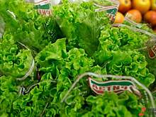 ​Под Екатеринбургом за 2 миллиарда построят новое производство готовой еды