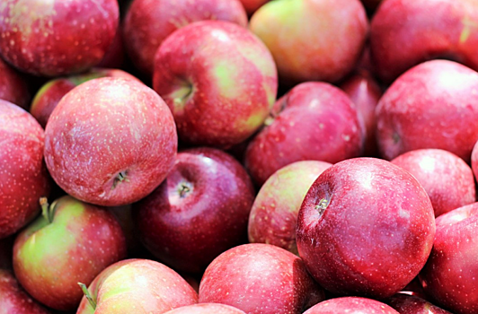 В Краснодарском крае производство ягод и фруктов достигло рекордных показателей