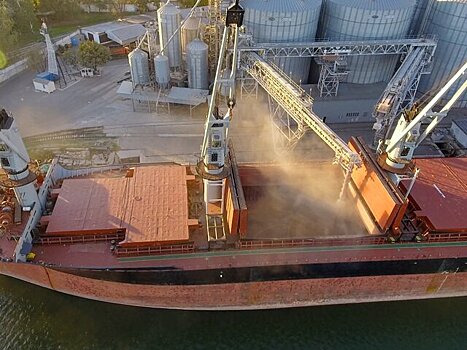 В Турции заявили об отсутствии ощутимого прогресса в возобновлении зерновой сделки