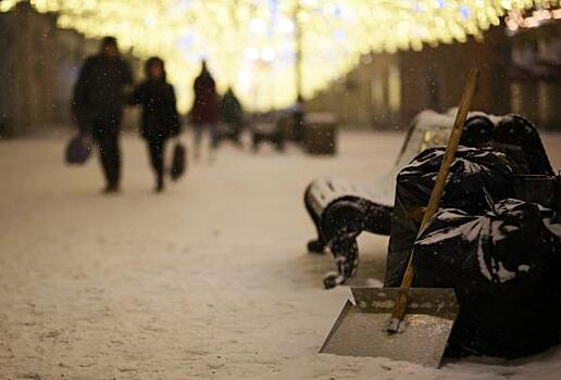 «Мусорные протесты» не за горами. Московские депутаты готовятся к экологическим бунтам