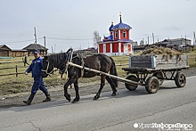 Стать селом или исчезнуть с карты?