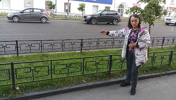 В центре Петрозаводска варвары истребили стаю голубей