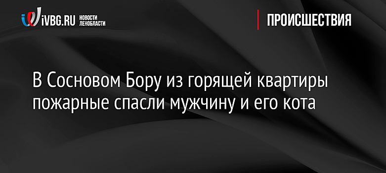 В Сосновом Бору из горящей квартиры пожарные спасли мужчину и его кота