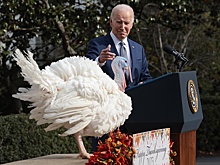 В США подвергли критике Байдена за путаницу в именах поп-певиц