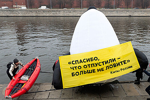 В Москве экологи провели акцию за запрет на вылов китов: фотогалерея