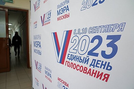 Депутат МГД Гусева проголосовала онлайн на на выборах мэра Москвы