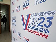 Депутат МГД Гусева проголосовала онлайн на на выборах мэра Москвы