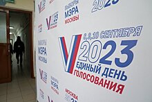 Депутат МГД Гусева проголосовала онлайн на на выборах мэра Москвы