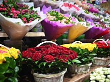 Ввоз цветов в Россию перед 1 сентября вырос на 20%