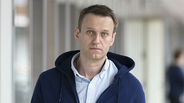 Япония оценила правомерность санкций против РФ из-за Навального