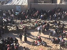 Более шести тысяч человек покинули Восточную Гуту